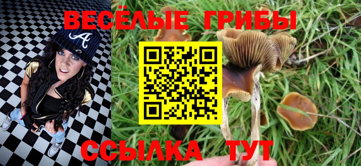 Псилоцибиновые грибы Psilocybe Азнакаево