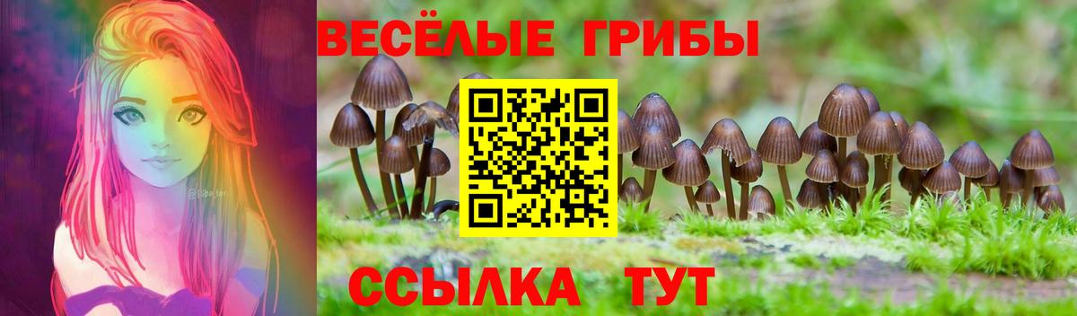 Азнакаево  Галлюциногенные грибы прущие грибы  Вход с VPN 